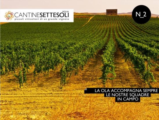 <strong>Cantine Settesoli</strong>: come rilanciare il mercato italiano del vino