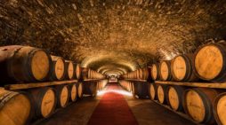 Exploit dei vini Doc Sicilia, 80 milioni di bottiglie nel 2018