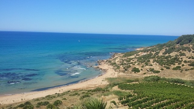 Mare pulito e servizi: 7 bandiere blu alla Sicilia