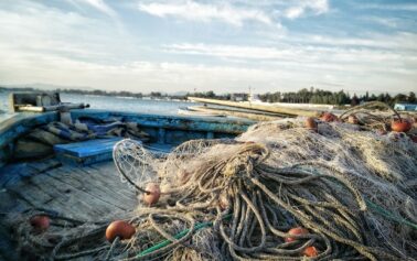 Pesca, caro gasolio: arriva l’ok al fermo biologico anticipato