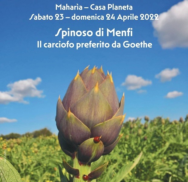 Dieci anni di Presidio Slow Food: Menfi il 23-24 aprile festeggia il carciofo spinoso